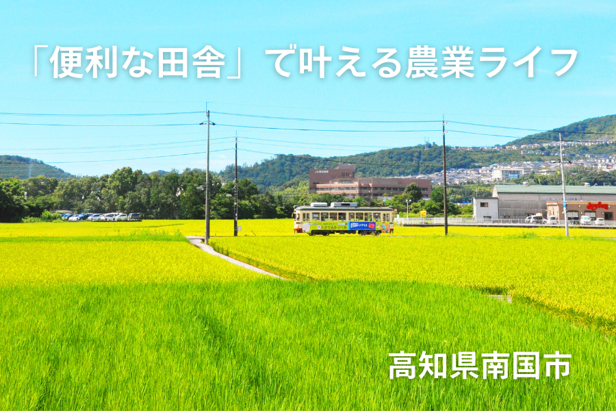 【南国市】「便利な田舎」で叶える農業ライフ